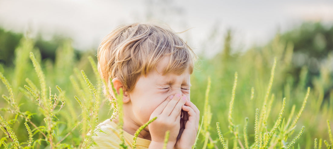 Understanding Asthma: A Comprehensive Guide to Diagnosis and Management